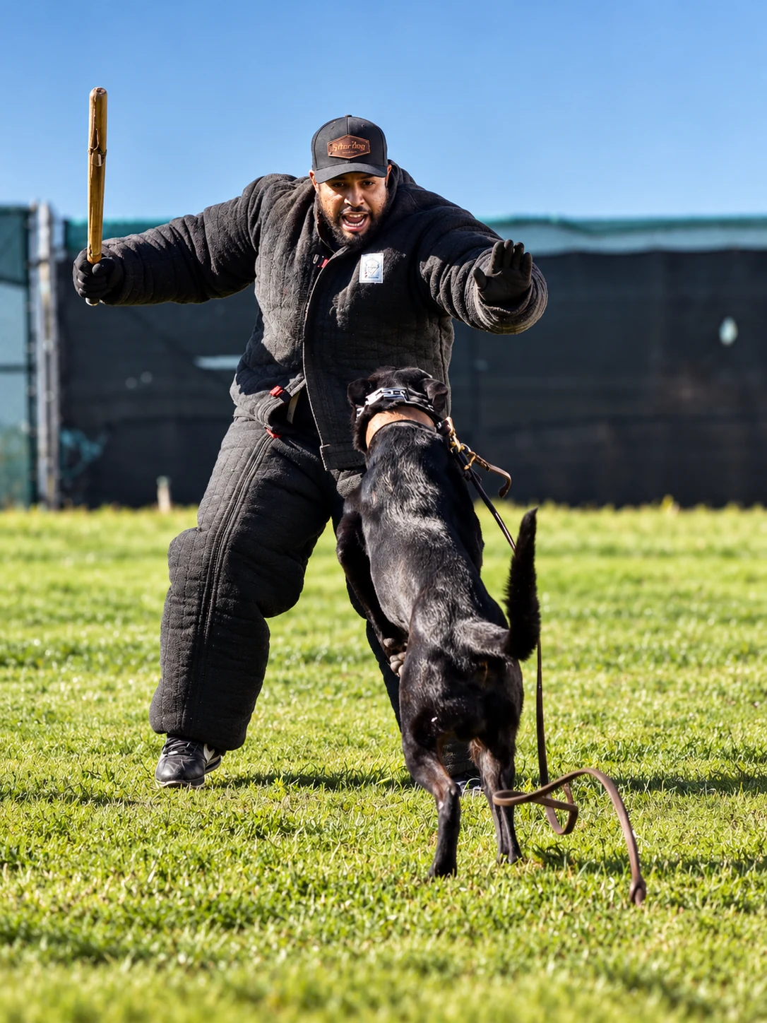 5 Star Dog Academy decoy working with a black dog during an outdoor protection-training exercise
